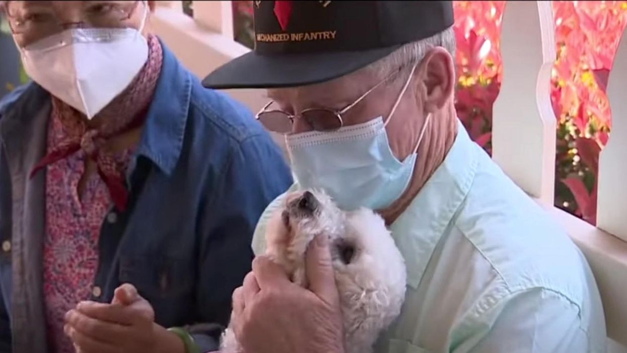 Elderly veteran thwarts alleged home invasion with the help of his rescue dog and his gun