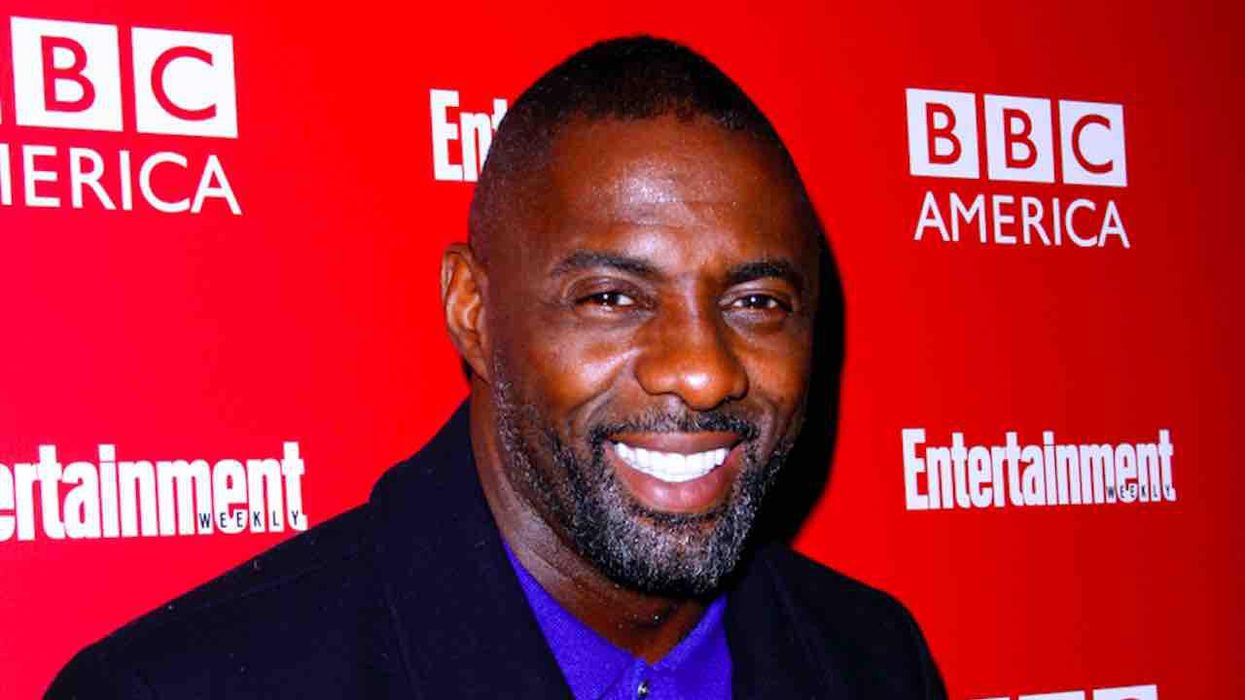 Diversity exec: Idris Elba TV character 'doesn't have any black friends' so his cop drama Luther 'doesn't feel authentic'