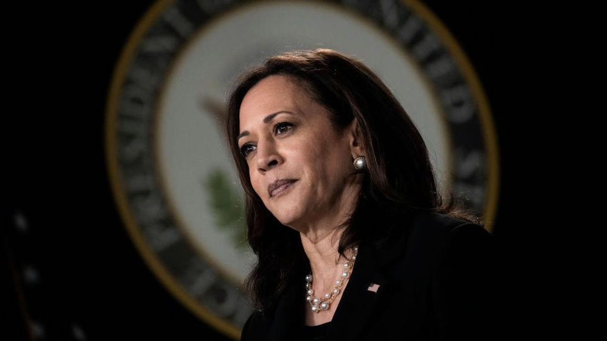 Democrats express serious fear over Kamala Harris' 2024 viability to defeat any Republican candidate: report