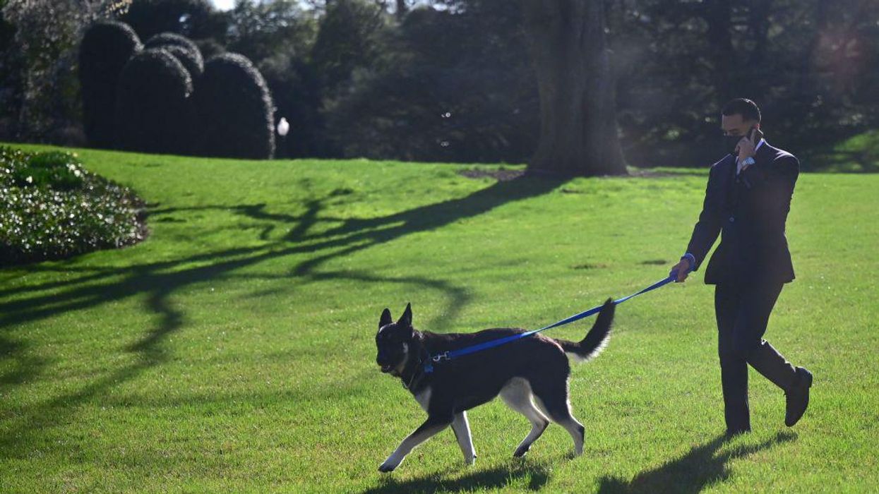 Psaki accused of lying after emails say Biden's dog, Major, bit Secret Service on 8 straight days