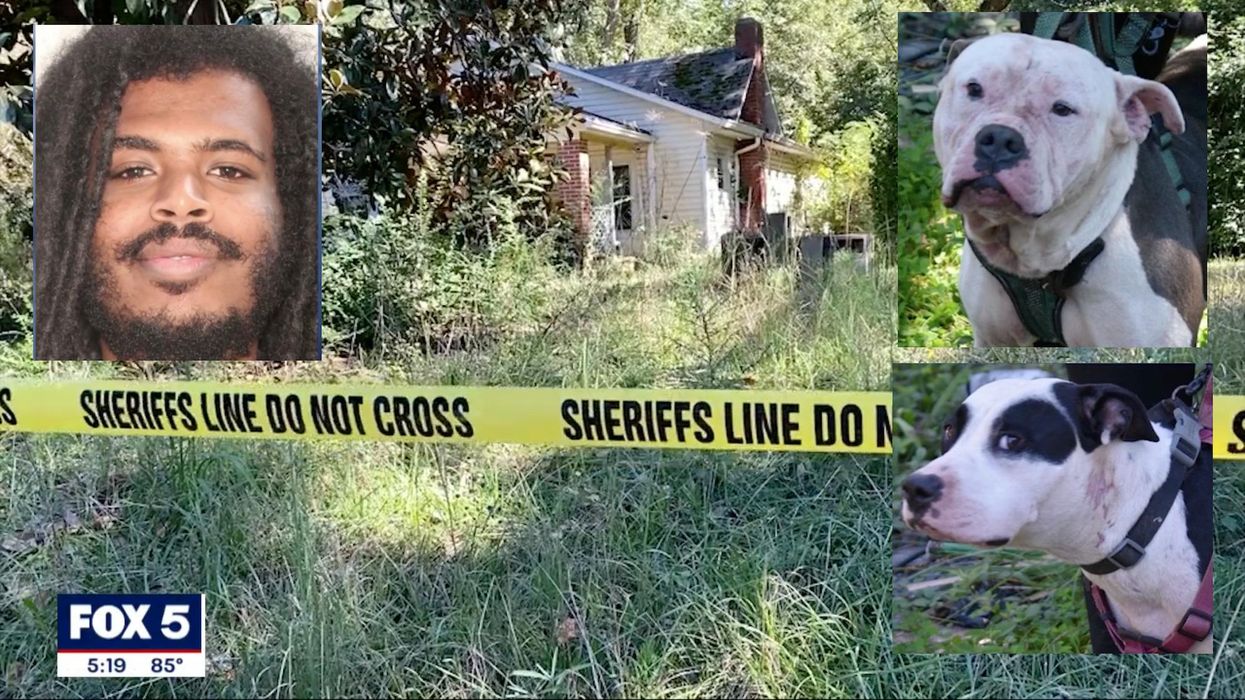 Georgia homeowner finds corpse on his porch after his dogs mauled an alleged home intruder to death