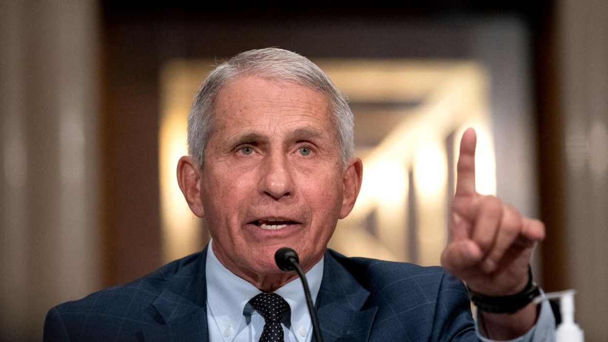 Fauci gets hammered for saying it is 'too soon to tell' if American families can gather for Christmas: 'We are living in two different realities right now'