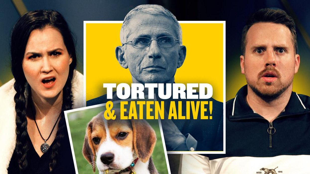 DISGUSTING! Did Fauci really OK torturing puppies?