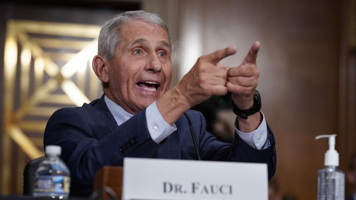 Fauci says vaccinated families 'can feel good about' having normal holiday gatherings