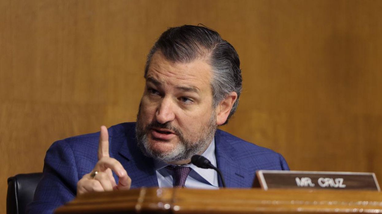 Ted Cruz confronts DHS chief over 'Biden cages' for migrant kids