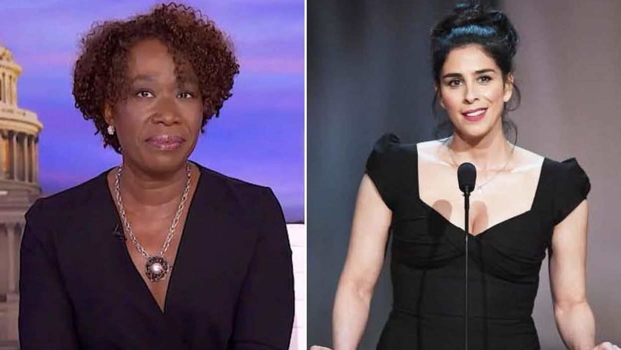 Sarah Silverman calls out MSNBC's Joy Reid for hysteria over Gov. Ron DeSantis: 'The truth has to matter'