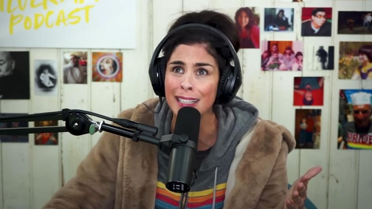 Sarah Silverman punches back at liberal critics who suggested racism after she knocked Joy Reid: 'I cannot believe I need to say this'