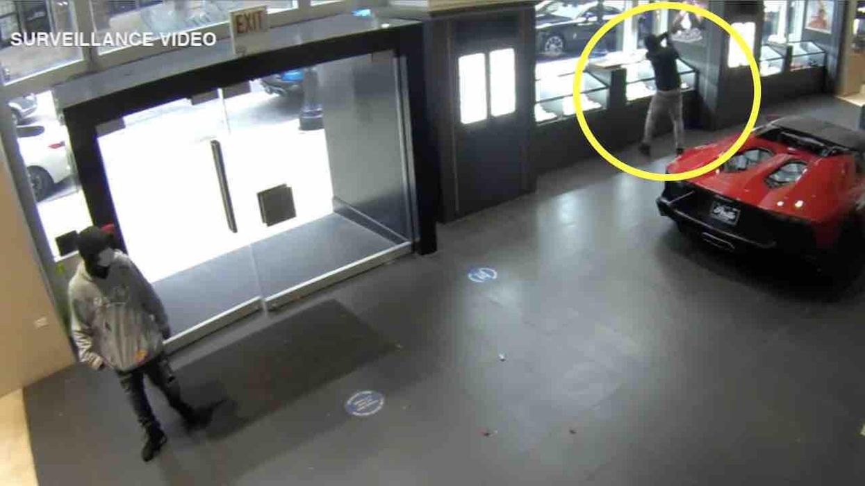 Thief steals watches worth millions after smashing display case in Chicago luxury car showroom: 'If they get arrested, they get let go,' fed-up owner says