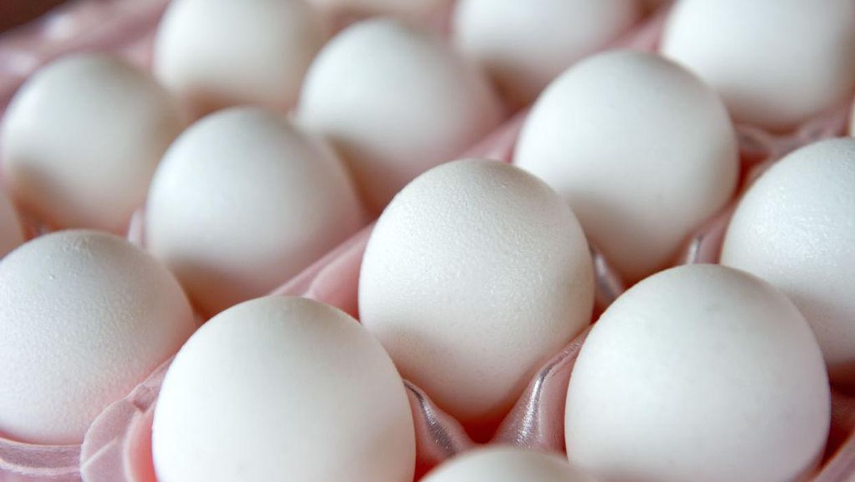 'Egg Armageddon': Mass. voters passed animal welfare law that effectively bans eggs from being sold in the state