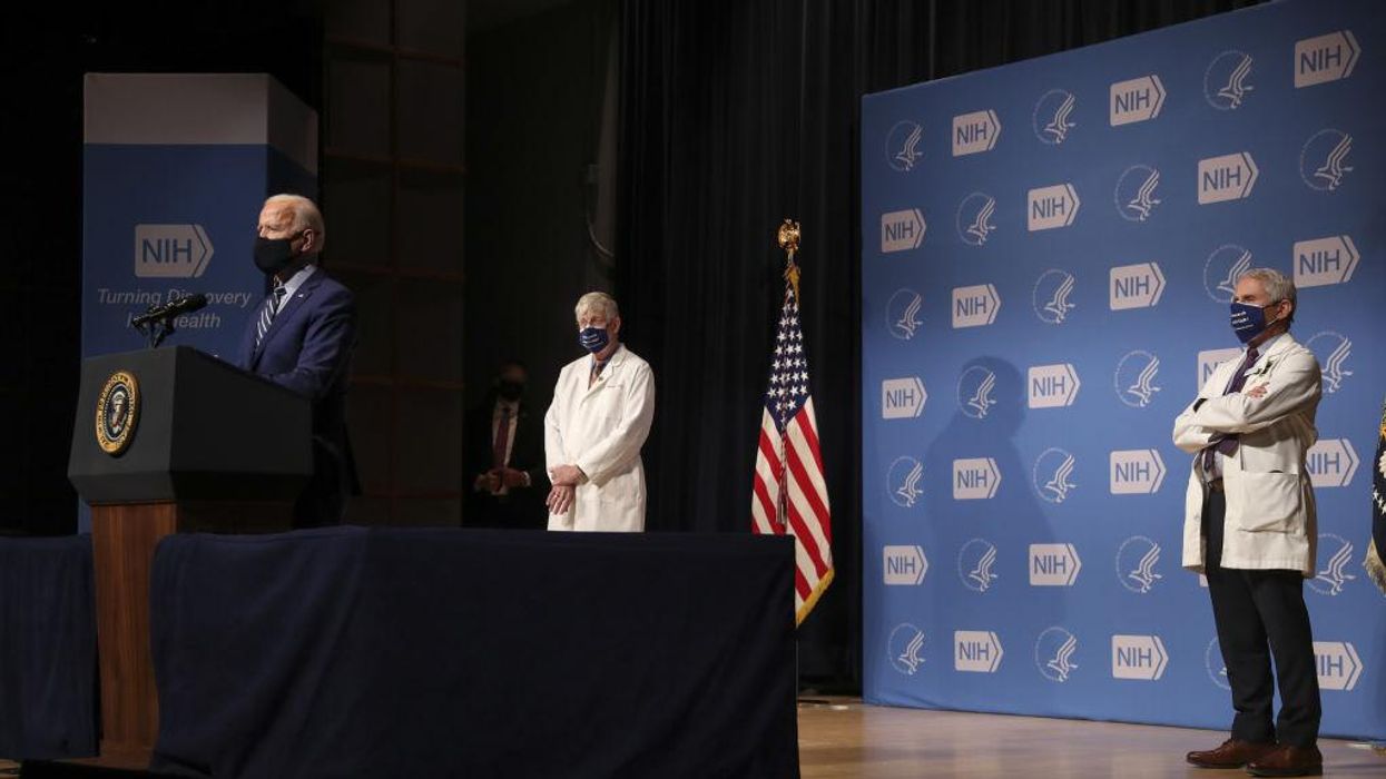 NIH Director Francis Collins told Anthony Fauci there needs to be a 'quick and devastating' takedown of anti-lockdown declaration by 'fringe' Harvard, Stanford, Oxford epidemiologists: Emails