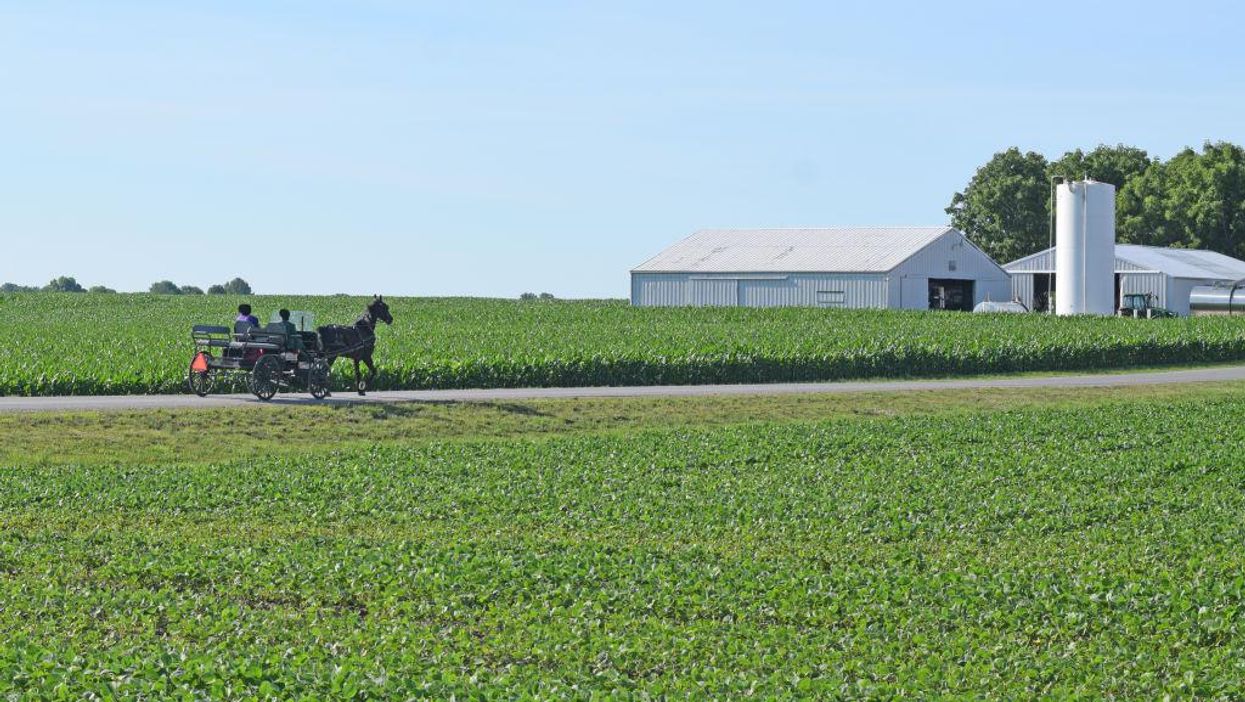 Biden's ATF raids Amish dairy farmer, seizes firearm stash in potential 'rogue gun retailer' bust