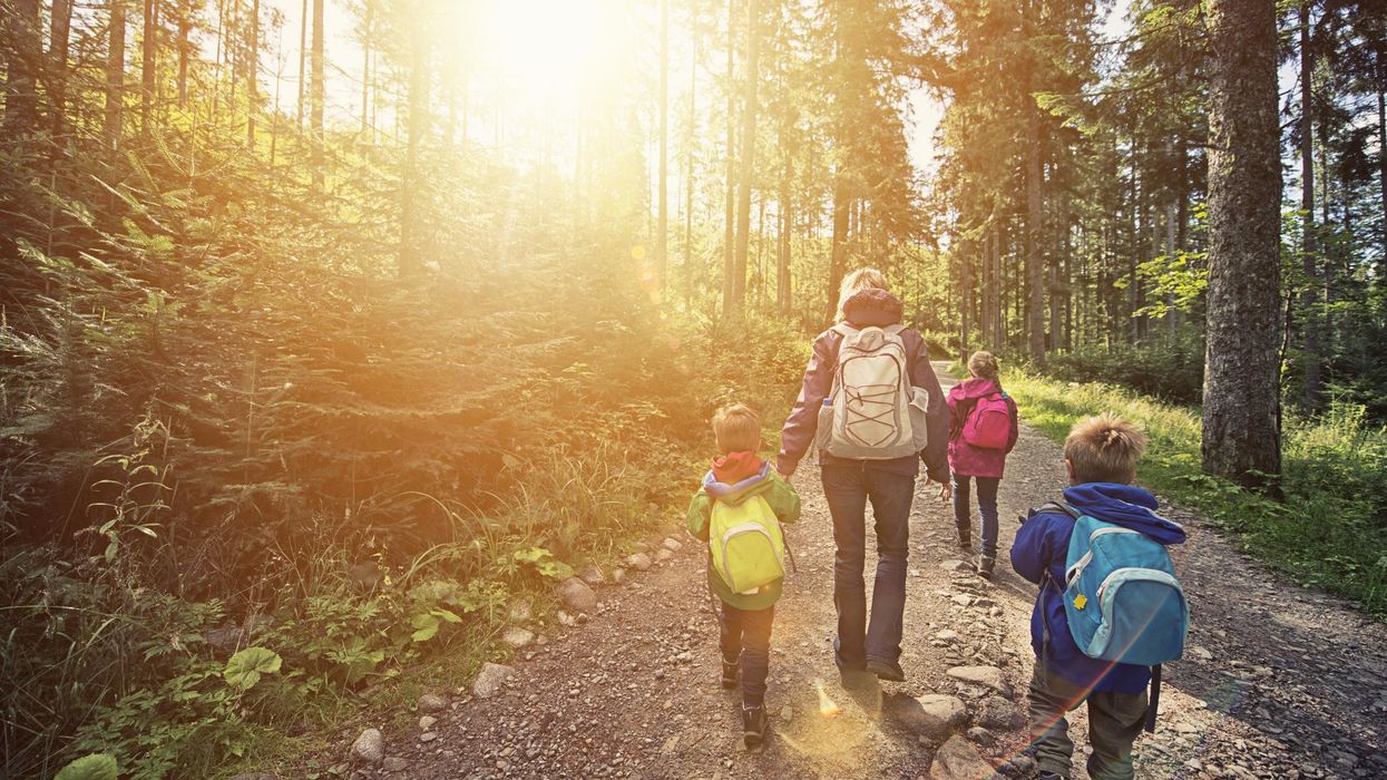 Unvaccinated Canadian dad loses custody of three children