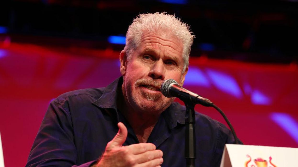 'Hellboy' actor Ron Perlman says it's time for blue states to 'separate' from red states