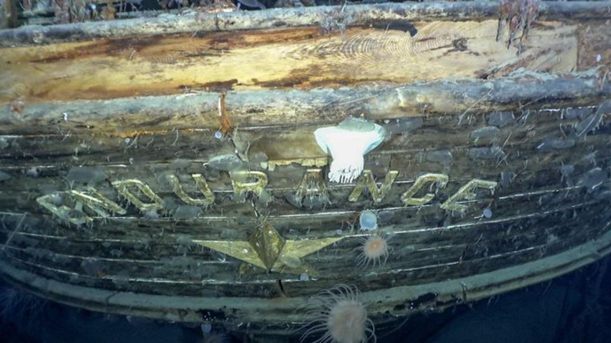 'Endurance has been FOUND': Ernest Shackleton’s lost ship discovered after 107 years