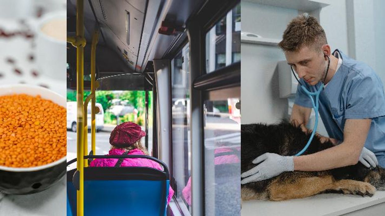 Twitter bashes Bloomberg's advice on how to deal with inflation: Eat beans, take the bus, skip getting chemo for your sick dog