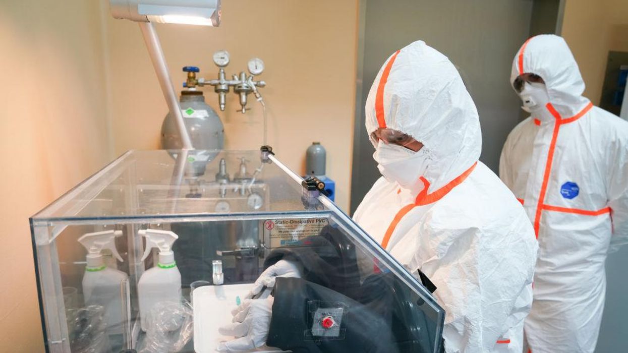 World Health Organization warns next pandemic could be insect-borne disease, risk of a new arbovirus outbreak is 'increasing'