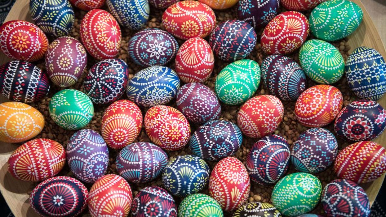 Bird flu deaths cause egg prices to spike just in time for Easter