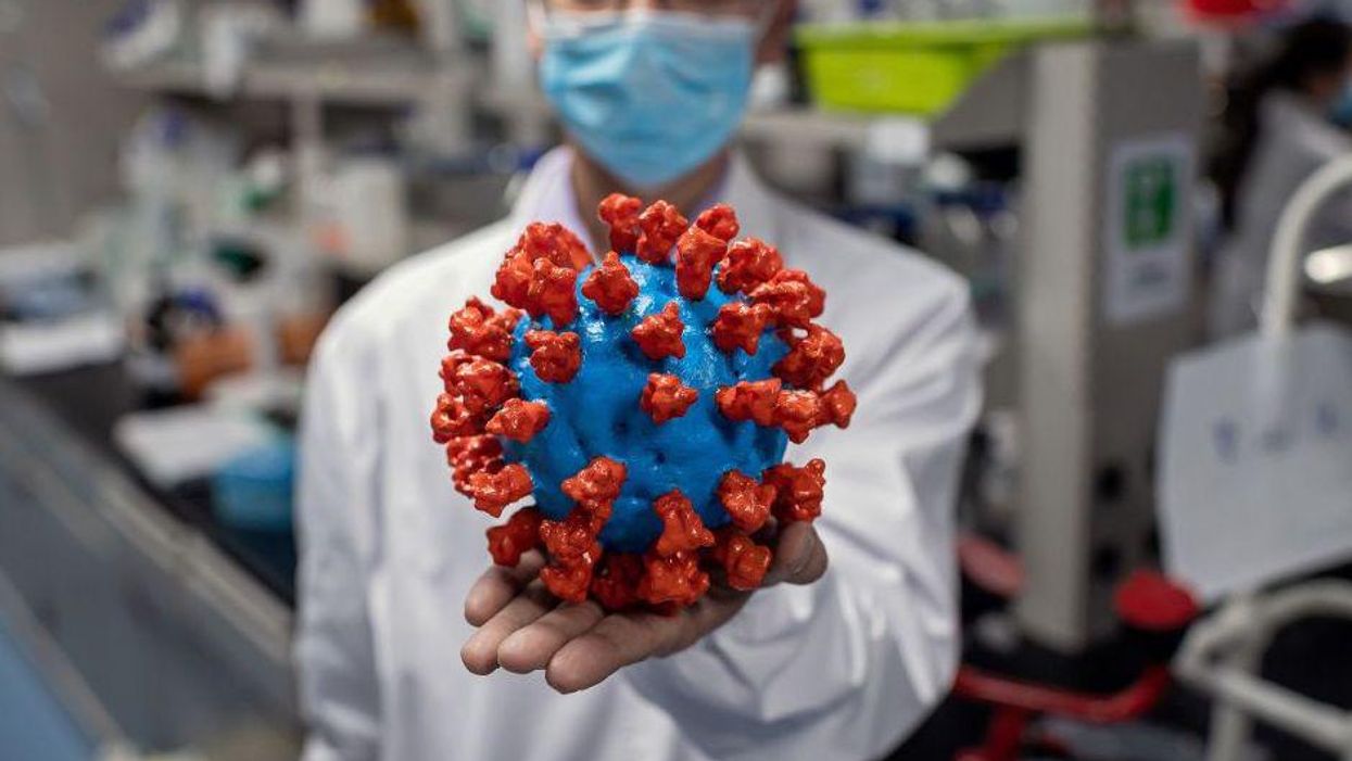 WHO nearly triples global COVID-19 deaths after factoring in 'deaths linked indirectly to COVID-19'