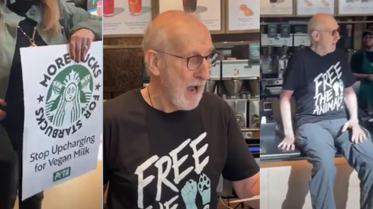 Hollywood actor joined PETA protest against Starbucks' vegan milk surcharge by super-gluing his hand to a store counter
