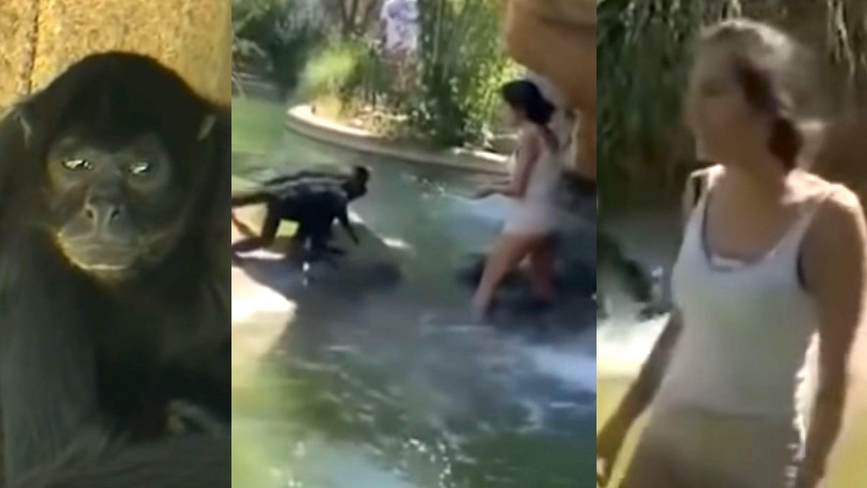 Woman fired over viral video of her jumping a fence to feed Flamin' Hot Cheetos to spider monkeys at a zoo says she won't apologize