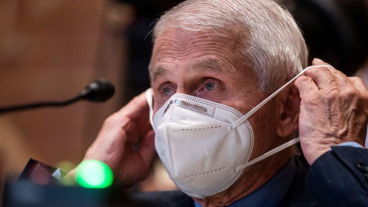 GOP senator directly asks Fauci: 'Did we do the right thing in shutting down society?'