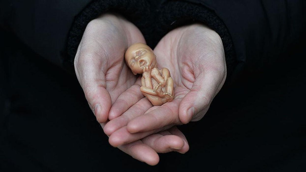 Baltimore city council unanimously passes resolution to make the city a 'sanctuary' for abortion