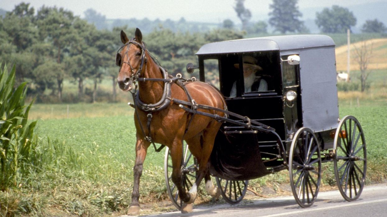 Amish man runs horse and buggy into police car after low speed chase. He was allegedly asleep with a Bud Light can next to him.