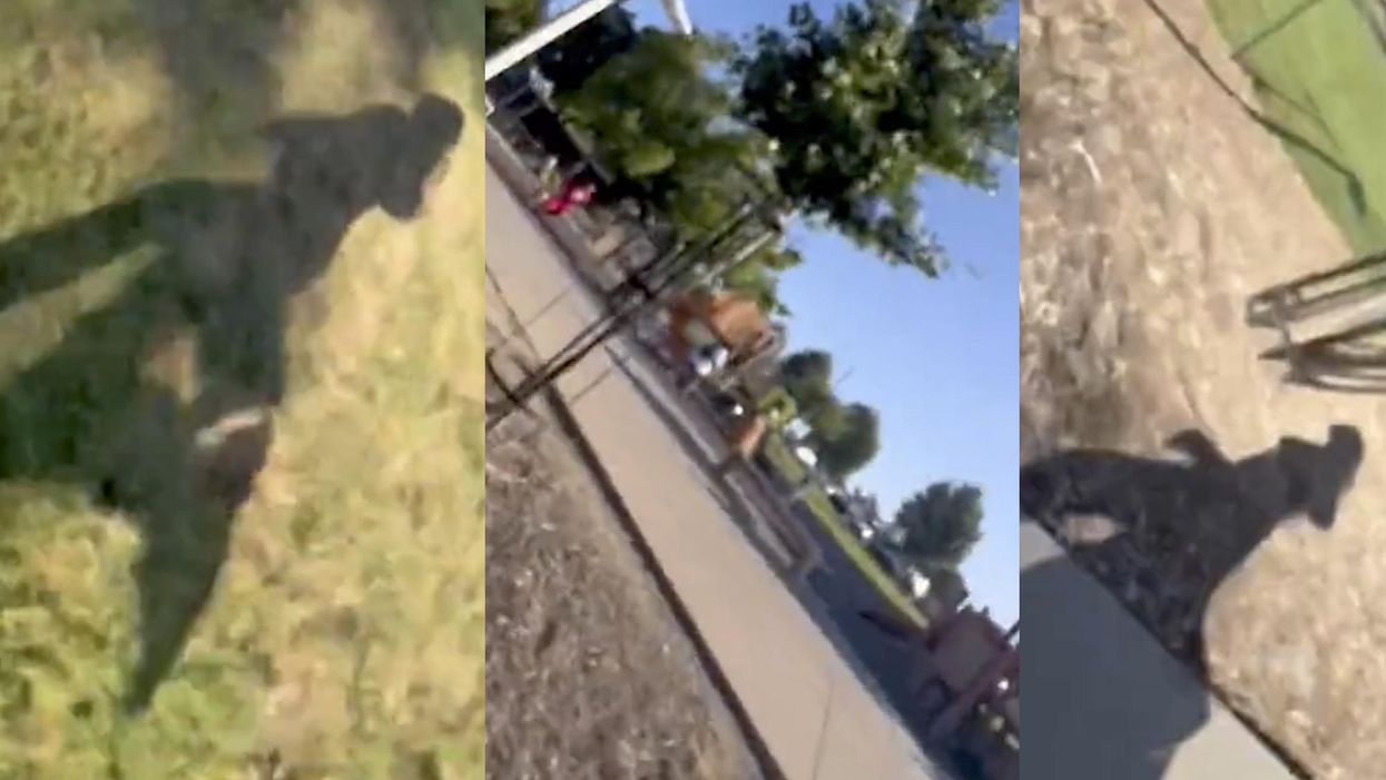 A little girl was videotaping her game of tag at a park when a lethal gunfight broke out in Silicon Valley city