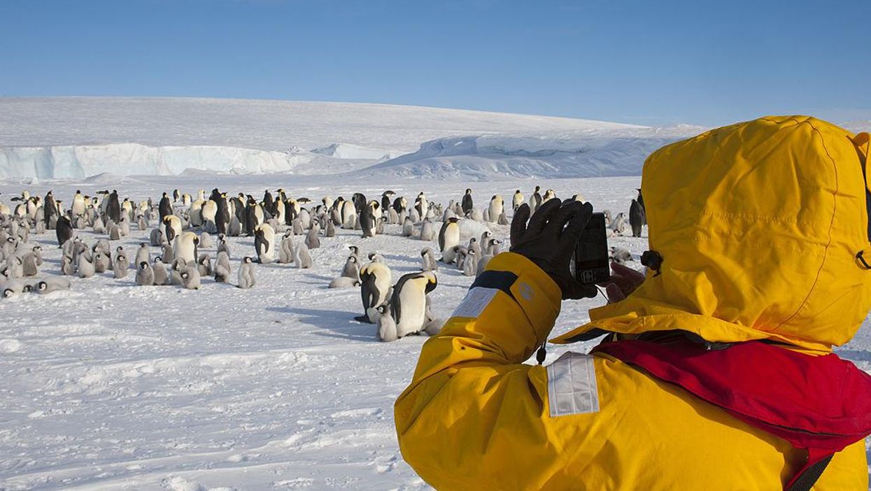 Microplastics have been recorded in freshly fallen snow on Antarctica