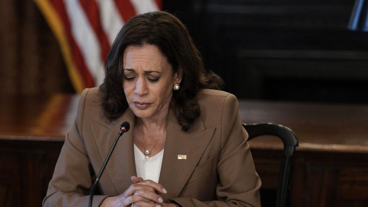 VP Kamala Harris claims SCOTUS 2A decision 'defies' the Constitution