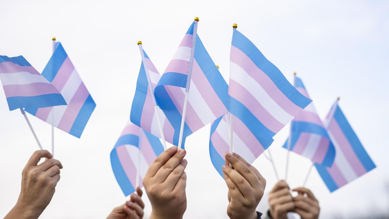 Guardian reporter says you're a 'fascist' if you disagree with transgender agenda as leftists pile on controversial New York Times op-ed