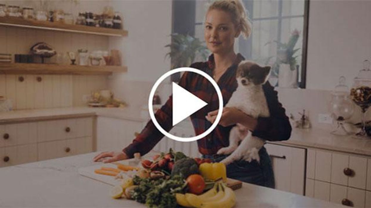 Kathryn Heigl: I give these 'Superfoods' to my dog everyday