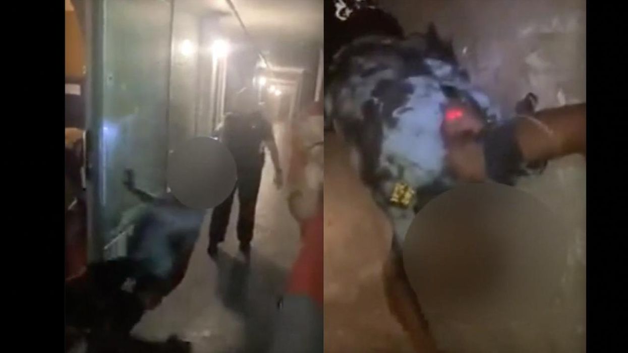 Black Lives Matter angry over deputy using Taser on 15-year-old male. Cops say teen was beating up his pregnant girlfriend, physically threatening deputy.