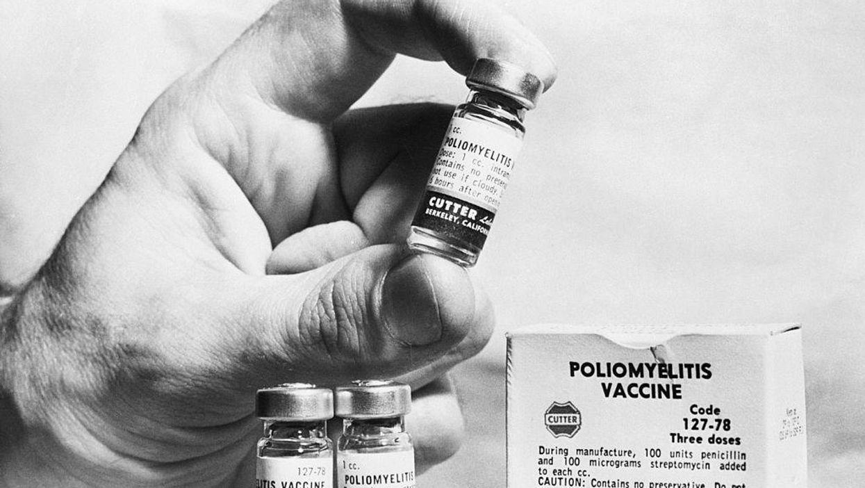 Polio case discovered in New York, first reported US case in nearly a decade
