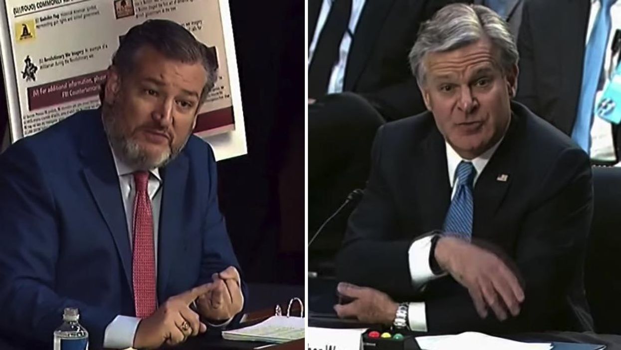 Ted Cruz gets FBI director to make 'astonishing' admission about agent who was in charge during Whitmer kidnapping plot investigation