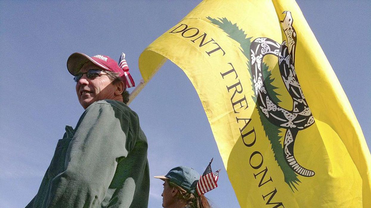 NPR gets hammered for saying Florida license plates with the Gadsden flag symbolize a 'dangerous far-right extremist ideology'