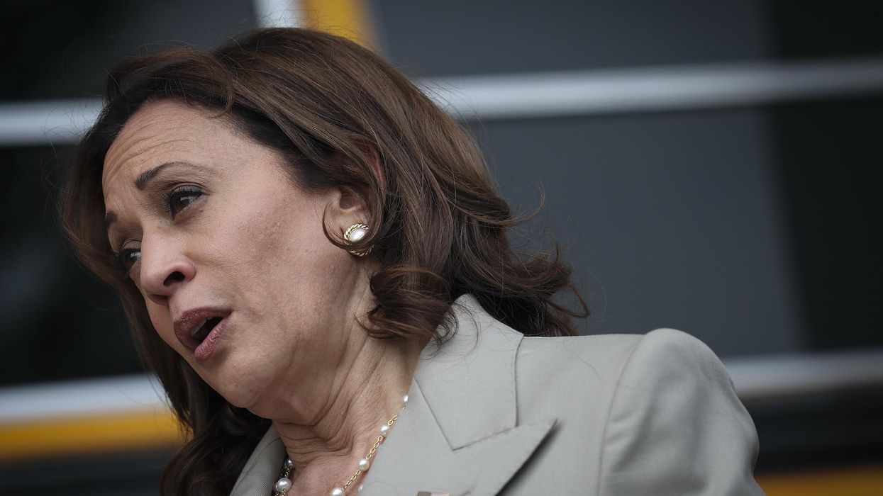 Previously rabid fans of Kamala Harris are losing faith: 'Did I just make up a person in my head who could do those things?'
