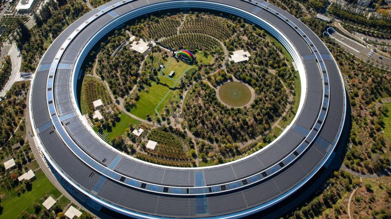 Apple workers cite fear of company becoming 'whiter' and 'environmental concerns' among reasons not to show up to work