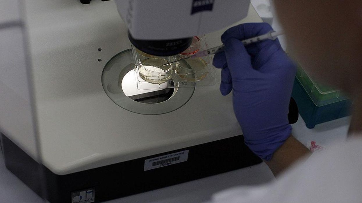 Scientists grow synthetic embryo with brain and beating heart for first time ever