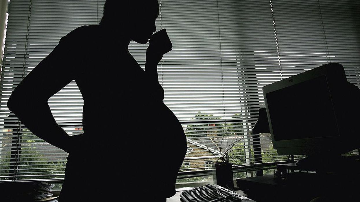 A whopping 22% of Democrats say that the statement 'Some men can get pregnant' is true: poll