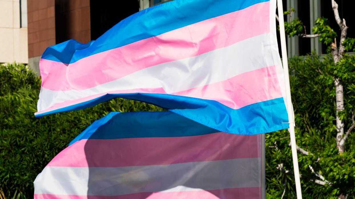 'A woman is a person who identifies as an adult female': Green Party US Senate candidate offers absurd definition for the word 'woman'