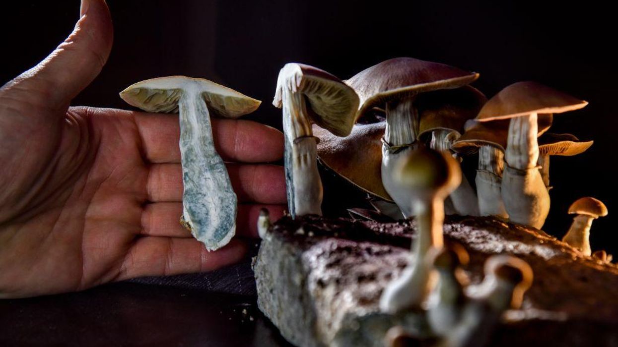 San Francisco moves to decriminalize psychedelics