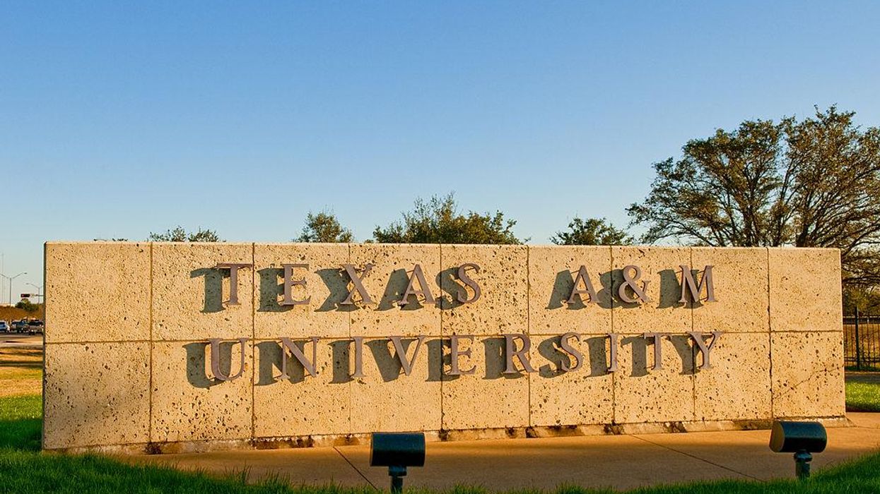 Class action lawsuit against Texas A&M alleges that the university's diversity initiative constitutes discriminatory hiring based on race and sex