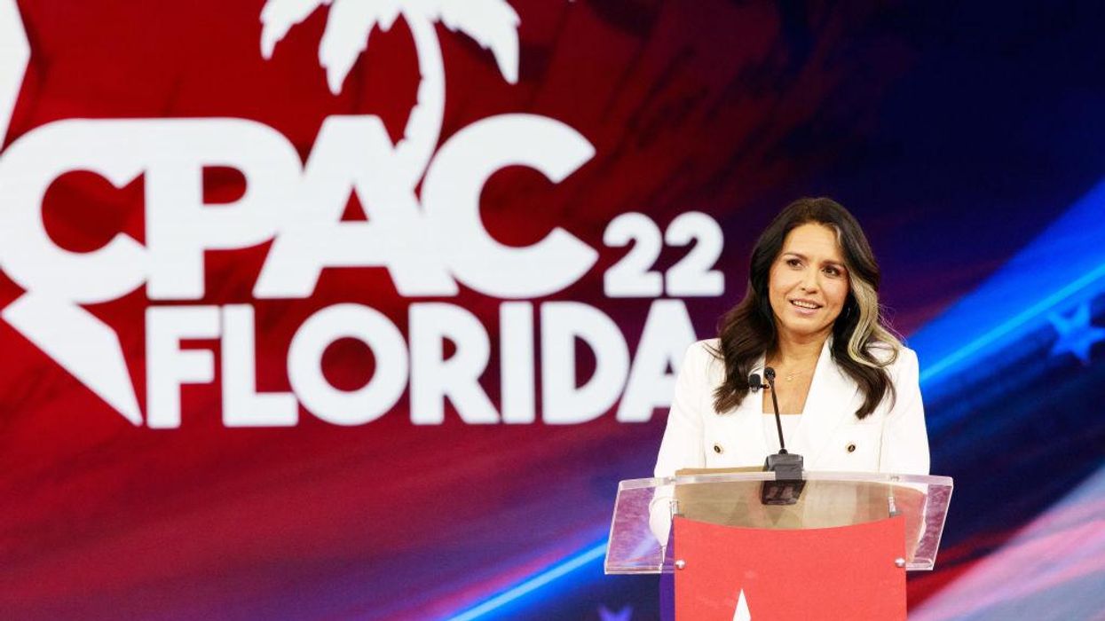 Former Rep. Tulsi Gabbard says VP Kamala Harris, who claims that the US border is secure, is 'either completely disconnected from reality or she's blatantly lying'