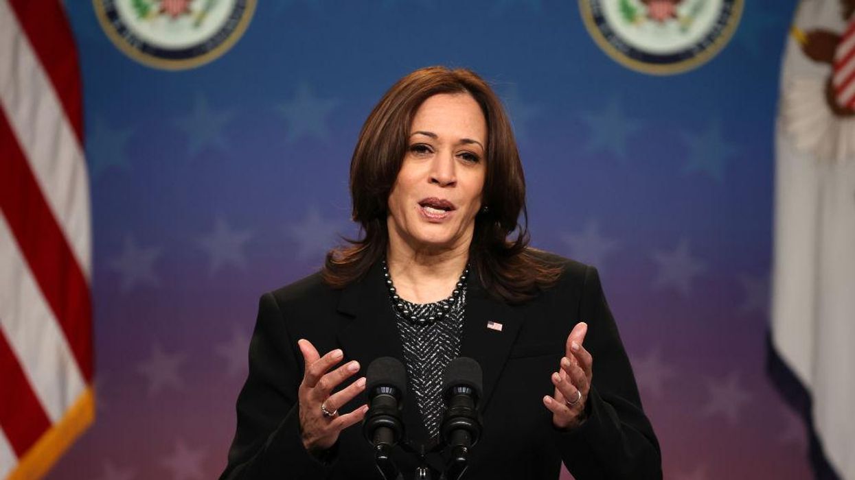 Kamala Harris explains why 'we' invested $12 billion into community banks — prepare to be DAZZLED by her logic