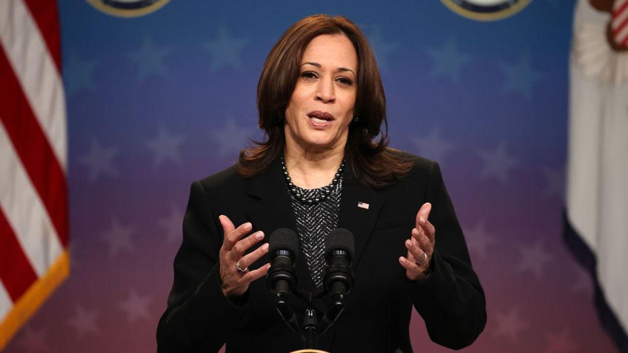 Kamala Harris explains why 'we' invested $12 billion into community banks — prepare to be DAZZLED by her logic