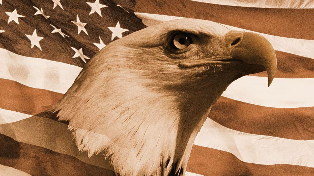 Biden administration proposes new permitting program for wind-power companies killing eagles