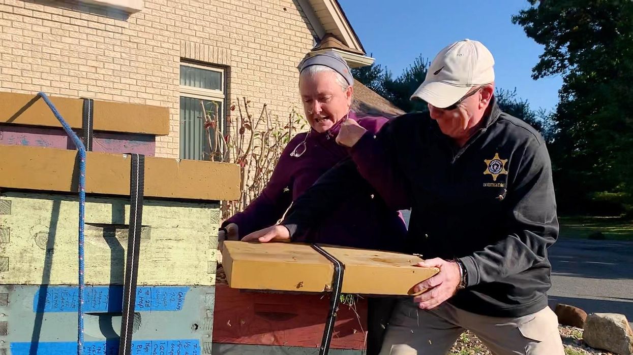 Sting operation: Protester unleashes swarms of agitated bees on sheriff's deputies