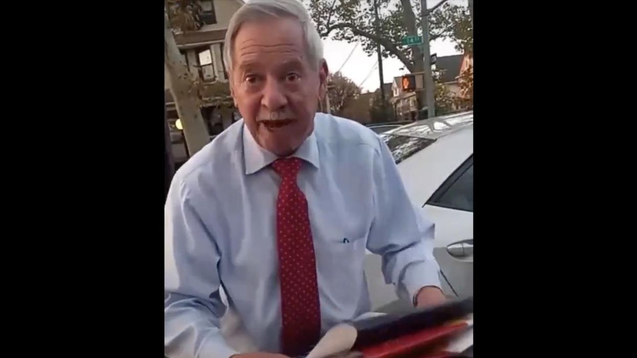 N.Y. Democrat official caught removing 'illegal' campaign signs for GOP gubernatorial candidate Lee Zeldin — and claims displaying them 'leads to bigger crime'