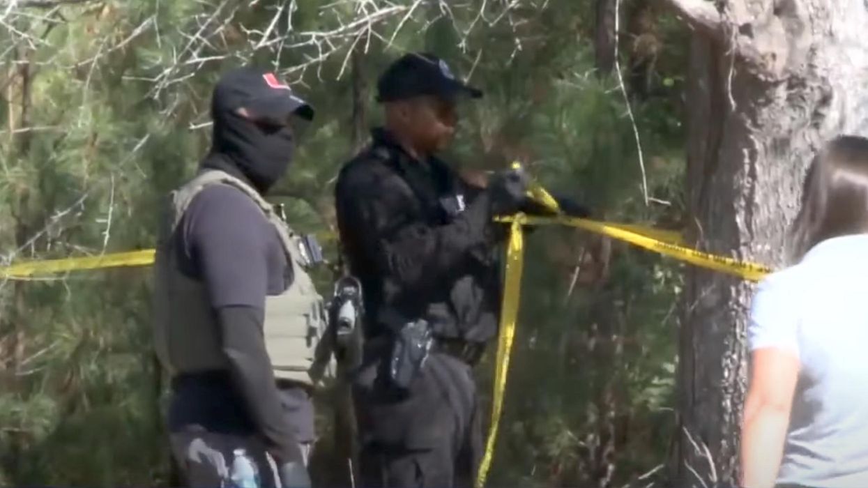 Video on social media showed a dog carrying a severed human arm in its mouth. Mississippi police later found scattered pieces of a dismembered body.
